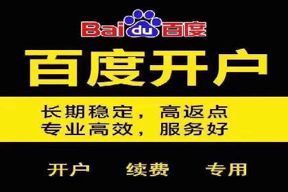 百度推广实战：成功企业的营销策略